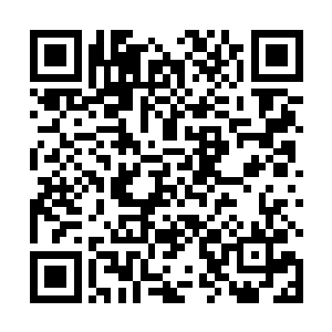 这几只就这么一直睡到中午丁宁过来汇报那些奴隶的事二维码生成