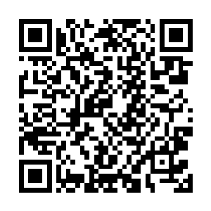 这几天一直都没涨甚至有下滑趋势的均定竟然涨了三四个二维码生成