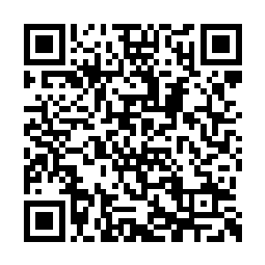 这几天三胞胎也不会每日练功练到那么晚回来了二维码生成