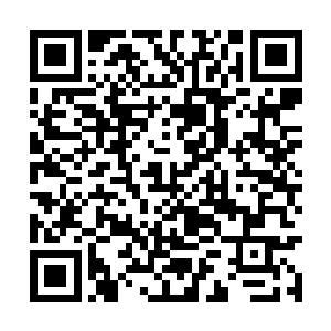 这几天采摘的野菜需要好好的晾晒才能保存的长久二维码生成