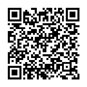 这几年的佣兵生涯已经让他的神经比钢丝还坚韧二维码生成