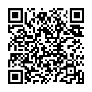 这几年穆兰莎教授陆续给了他一些生命树纤维织成的布二维码生成
