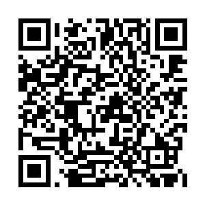 这分明就是因为一点贿赂准备出卖自己的人格了二维码生成