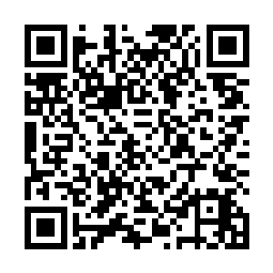 这分明是十万年前垂天之叶的铁杆手下们悉数重出江湖二维码生成