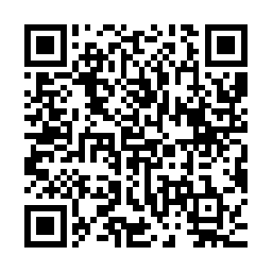 这分红是指在企业当年收益在提取了公积金和公益金之后的分配二维码生成