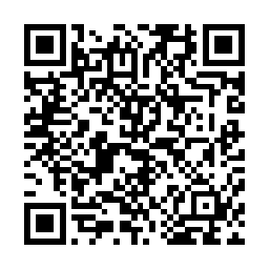 这刑天所化的血肉精华和灵魂精华之中似乎并没有什么危险二维码生成