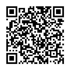 这刘大厦是守旧派的官员的可能性足有七八成之多二维码生成