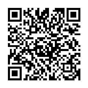 这到不是说无大鬼船联合起来的力量真的完全抗不住唐劫的攻击二维码生成