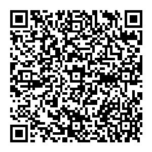 这到底是一柄什么剑　他能切断秋水名剑　又能架住这至少有数吨冲击力的狼牙棒　他到底是什么材质做的　他到底是何人做的二维码生成