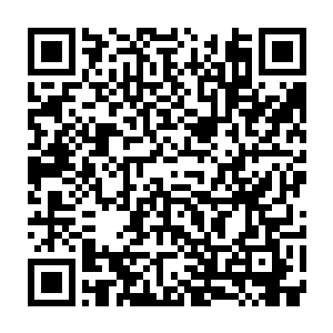 这到底是怎么样的攻击才能够把那位道尊给打的如此没有节操的嗷嗷乱叫呢二维码生成