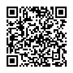 这剑形的洞虚之灵根本就无法跟那金焱灵蛇相提并论二维码生成