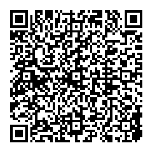 这剧本是怎么回事……这不是比噩梦难度还要离谱吗……远吕智军里的大众脸恐怖如斯……那远吕智本人岂不是分分钟爆星啊二维码生成