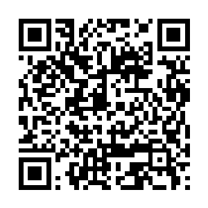 这动作就跟之前叶卡琳娜给巴克擦头发一样不见外二维码生成