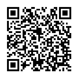 这十三年竟然老老实实地就在窝里吸收着混沌之气二维码生成