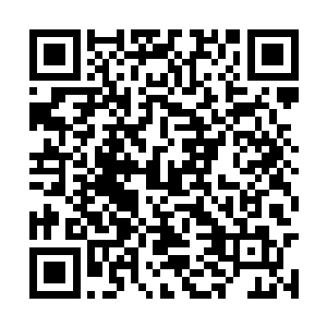 这十几台渣土车价钱就足以让自己损失不下百万了二维码生成