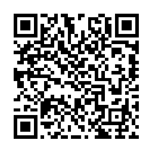 这十多年来朝野上下都说是碧眼儿首辅的假公害私二维码生成