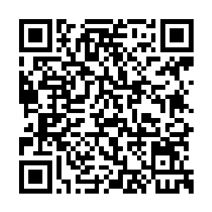 这十年你就是凭借研究这些八卦评上教授职称的二维码生成