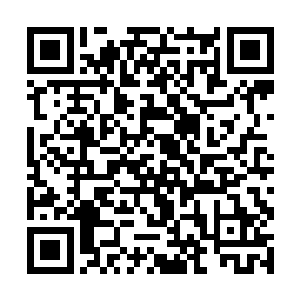 这十年的时间龙傲天再最后好好的陪一下自己的家人二维码生成