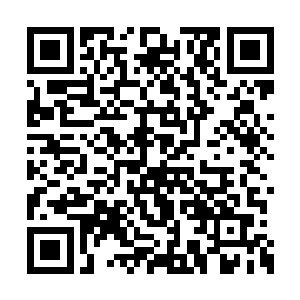 这反过来也可以促进南潭猕猴桃种植进一步发展二维码生成