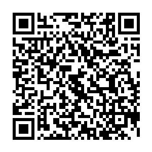 这古怪的事情就像他们无法理解这世上居然会有如此巨大的灵兽一般令他们困惑二维码生成