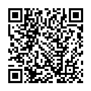 这只是为了报复当年你们人类无耻的逼走我们妖族的下场二维码生成