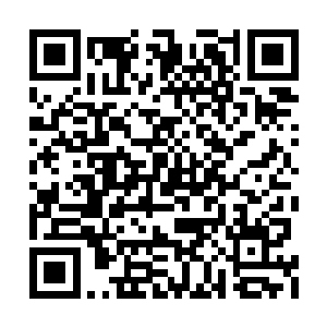 这只是答谢你照顾那两个孩子的一点小礼物罢了二维码生成