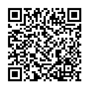 这只猩红着眼睛的小幼崽正一步一步朝众人走来二维码生成