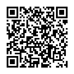 这只能说明一个问题――他是尊老爱幼孝顺可爱的好孩子二维码生成