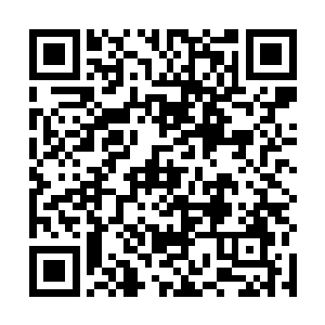 这只黑猫应该就是李老师的儿子魂魄所寄居的那只黑猫二维码生成