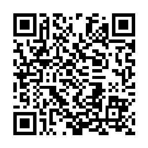 这可以帮助我去深山之中斩杀一只水系化神期的妖兽吗二维码生成