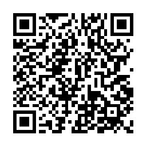 这可是一条堪比龙脉级别的煞脉所散发出来煞气二维码生成