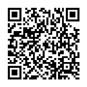 这可是你布置了数十年的计划……她可是一手扶起的二维码生成