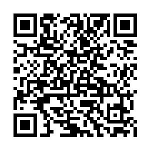 这可是昊天宗废了四代武帝的心血才打造而成的二维码生成