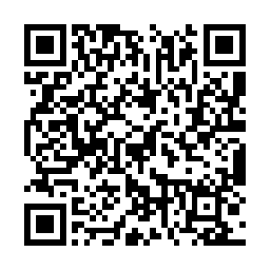 这可是楼内炼丹大师花费了无数的心血炼制出来的二维码生成