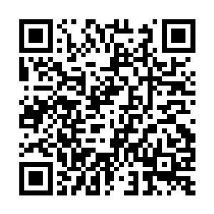 这可是第一次看到活生生的一个人被巨蛇给整吞了二维码生成