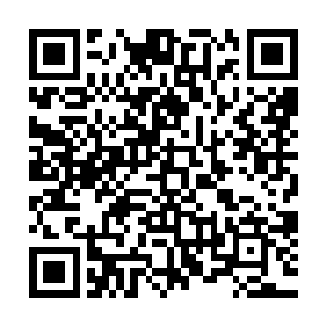 这可是许淑瑶辛辛苦苦花费了大量的时间和金钱给他买的衣服二维码生成