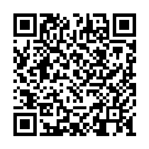 这可是这次拍卖会上第二件杨戬看不透的东西了二维码生成
