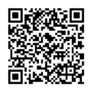 这可比他与白若尘所收取的王级武药要贵重的多二维码生成