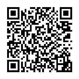 这可能是陆地最大的尸兄--就连霸皇龙也没婴儿尸兄大二维码生成