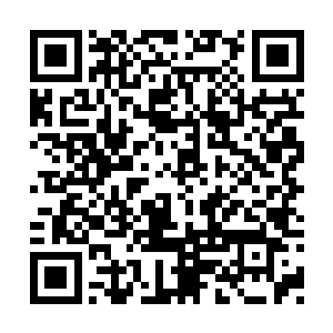 这司徒寻磊变得有些噤若寒蝉的跟在林辰的身边二维码生成