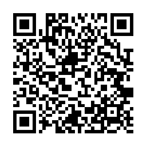 这名一直忠于自己忠于白河谷地的少年就会被白白牺牲二维码生成