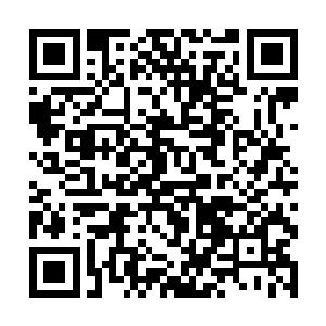 这名可能是这个多元宇宙最强大的真理之神的圣武士二维码生成