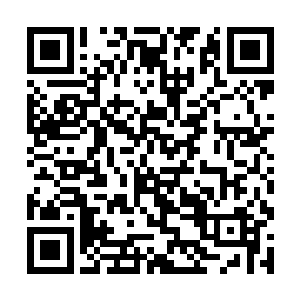 这名女人不急不缓地从王宫大门前的台阶上走了下来二维码生成