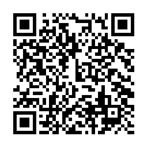 这名脸上还带着稚气的少年晨星就来到了雷林的面前二维码生成