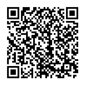 这哪怕是对于拥有不朽巅峰实力的痛苦魔王督瑞尔而言也必然是一个巨大的损失二维码生成