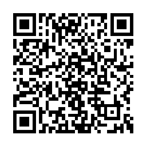 这四个人根本就是吊着他们胃口耍着他们玩儿的二维码生成