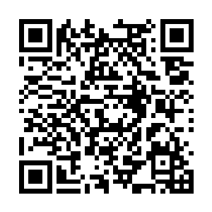 这四个字已经表明了赤狐对于他背后宗门的重要性二维码生成