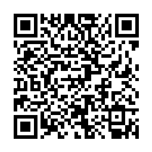 这四个桌案显然是给青阳神殿和天武圣地的人预留二维码生成