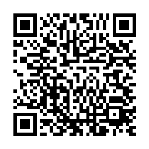 这四座祭台的确应该有什么能够让修士们疯狂的古怪灵物出现二维码生成