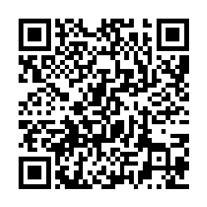 这四种属性之灵又和许紫烟的神识融合成了剑灵二维码生成